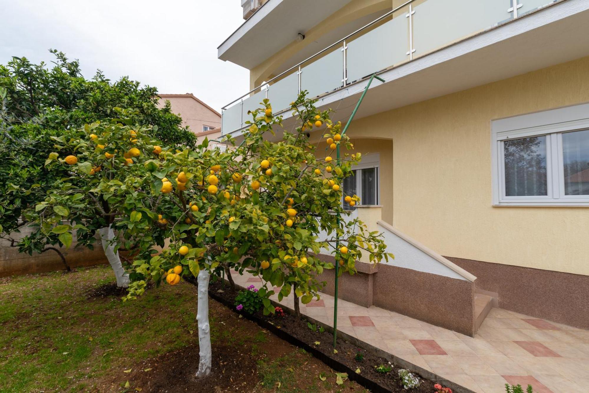 Villa K&F Borik Zadar Exterior photo